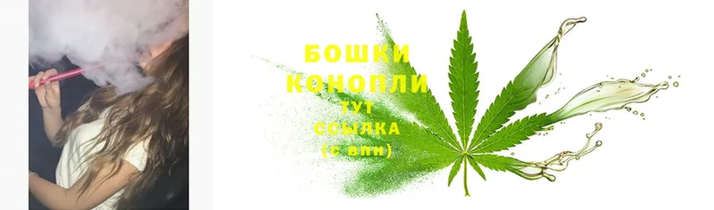 Бошки марихуана SATIVA & INDICA  OMG рабочий сайт  Николаевск 